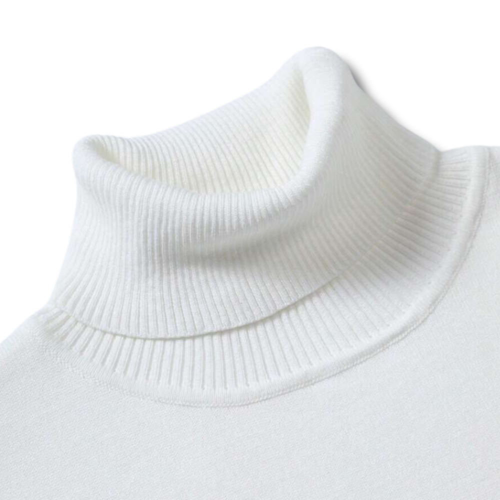 Dario - Luxe Turtleneck Sweater